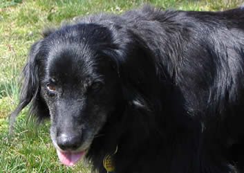 Katie on her last sunny afternoon